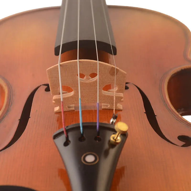 A Guarnieri 'Del Gesu' 1743 "The Cannon"Copy Violin !Strong Deep Professional Tone. Free Case, Bow and Shouldrest