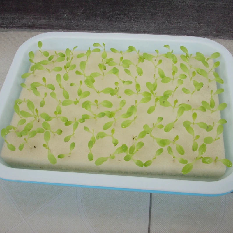 1pc 300mm by 200mm Nursery Sponge Gardening Hydroponics Sponge Vegetables Hydroponics Sponge for Garden Supplies