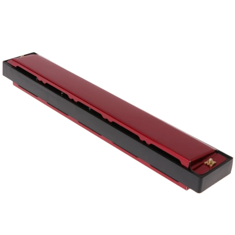 Professional 24 Hole Harmonica Mouth Metal Organ for Beginners