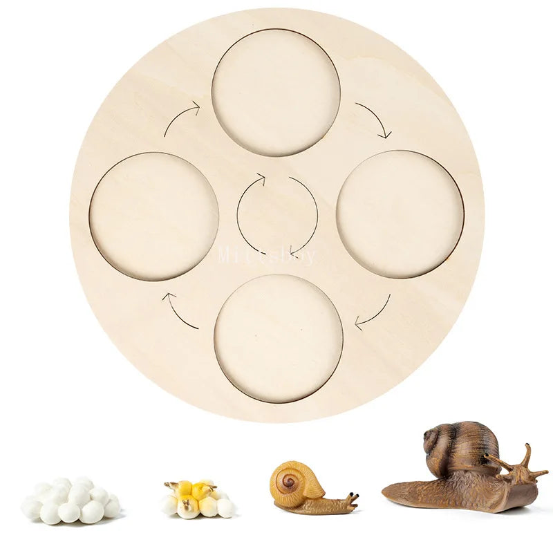 Baby Montessori Science Education Animals Insects Life Cycle Board Sets Lifestyles Stages Kids Tools Educational Open-Ended Toys