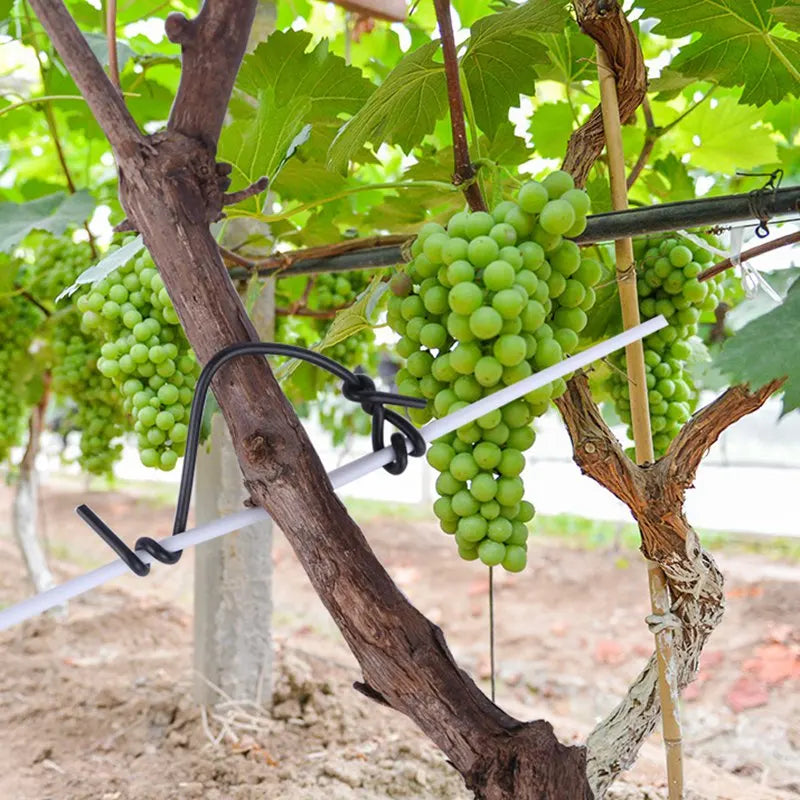 100pcs Gardening Cable Ties Reusable Oblate Iron Wire Bonsai Flower Cucumber Vine Climbing Plants Cable Tie