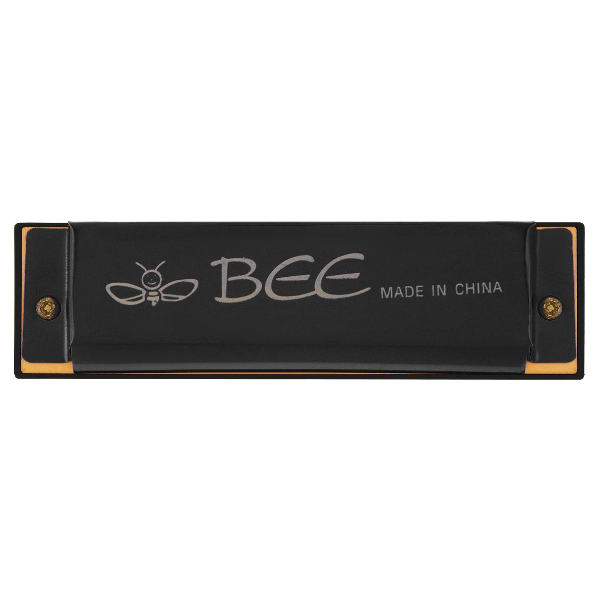 10 Holes 20 ToneC Harmonica Diatonic Blues Harp Mouth Organ Musical Instrument Stainless Steel for Beginner