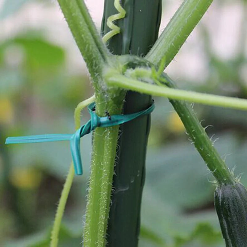100pcs Gardening Cable Ties Reusable Oblate Iron Wire Bonsai Flower Cucumber Vine Climbing Plants Cable Tie