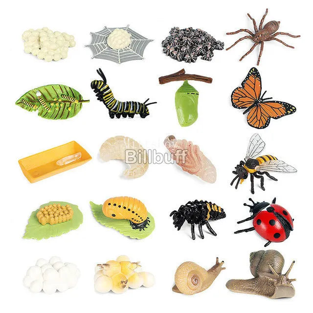 Baby Montessori Science Education Animals Insects Life Cycle Board Sets Lifestyles Stages Kids Tools Educational Open-Ended Toys