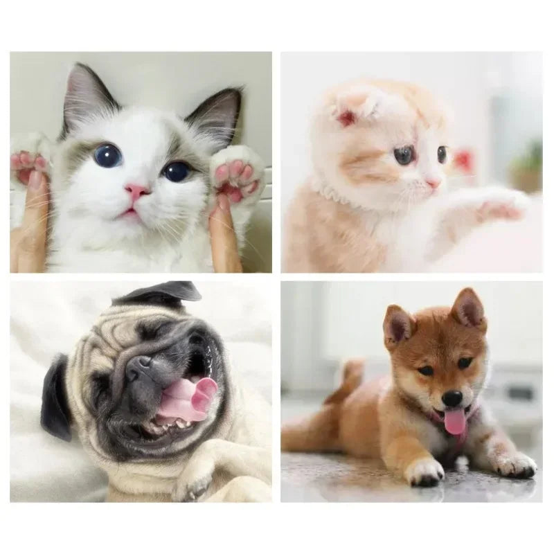 Cat Bed House Kennel Nest Round Pets Sleeping Cave Kitten Beds Pet Basket Cozy Kitten Lounger Cushion Cat House Tent Dog House