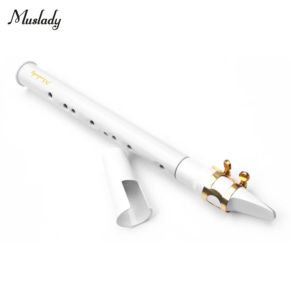 Black Mini Pocket Saxophone Portable Little Sax With Black Carrying Bag Woodwind Instrument