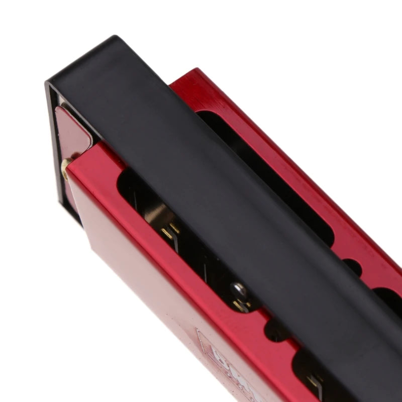 Professional 24 Hole Harmonica Key of C Mouth Metal Organ for Beginners