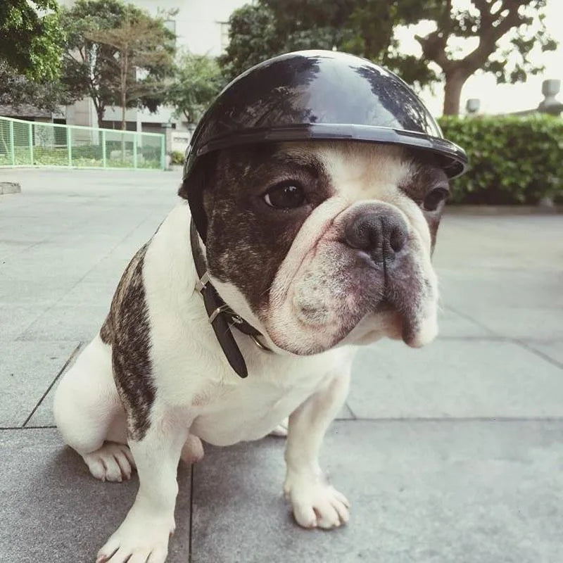 Dog Helmets for Motorcycles Cool ABS Fashion Pet Dog Hat Helmet Plastic Pet Protect Ridding Cap SML