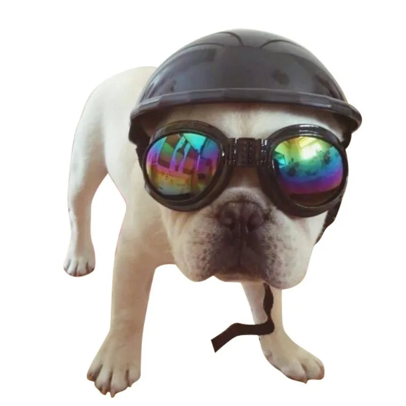 Dog Helmets for Motorcycles Cool ABS Fashion Pet Dog Hat Helmet Plastic Pet Protect Ridding Cap SML
