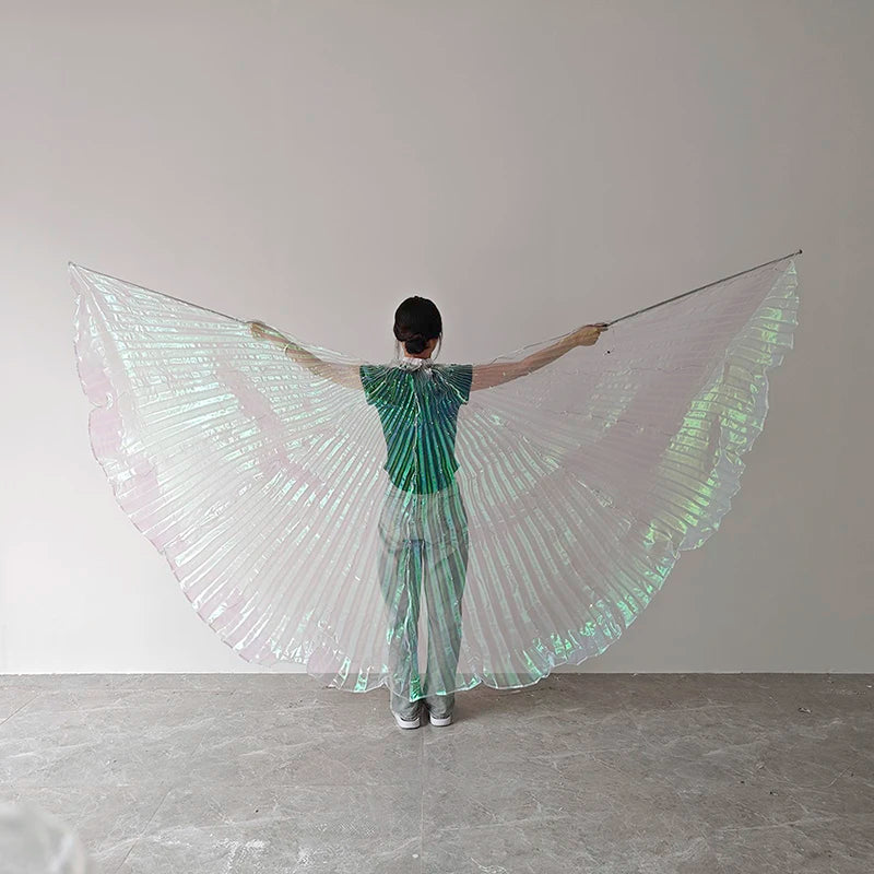 Holiday Party Glow Props LED Butterfly Wing Girls Women Children Dancing Costumes Accessory Wings Glowing for Holiday Halloween