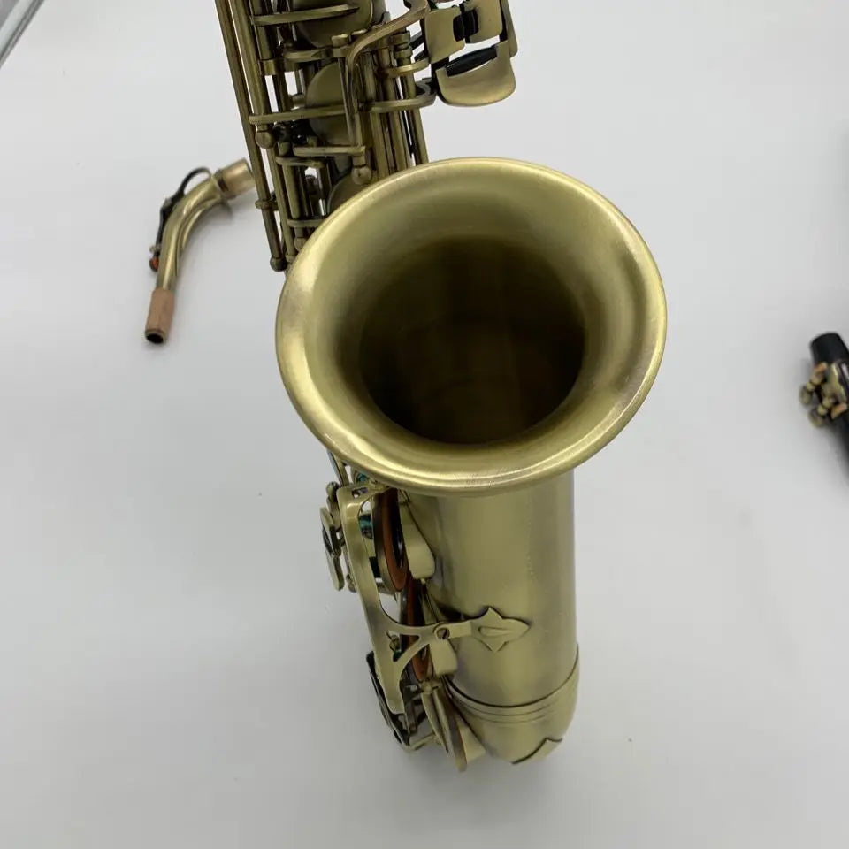 Best Quality France Brand R54 Model Musical Instrument Saxophone E Flat Alto Saxophone 54 Antique Copper Sax Alto Mouthpieces