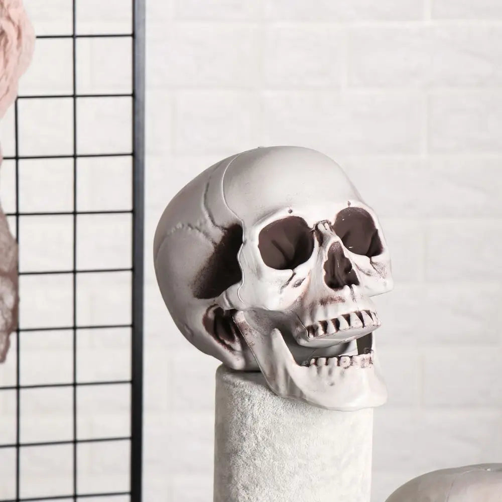 All Size Plastic Human Skull Head Skeleton Halloween Style Photo Prop Cranium Haunted House Statue Party Decor Game Supplies