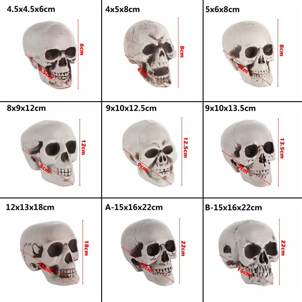 All Size Plastic Human Skull Head Skeleton Halloween Style Photo Prop Cranium Haunted House Statue Party Decor Game Supplies