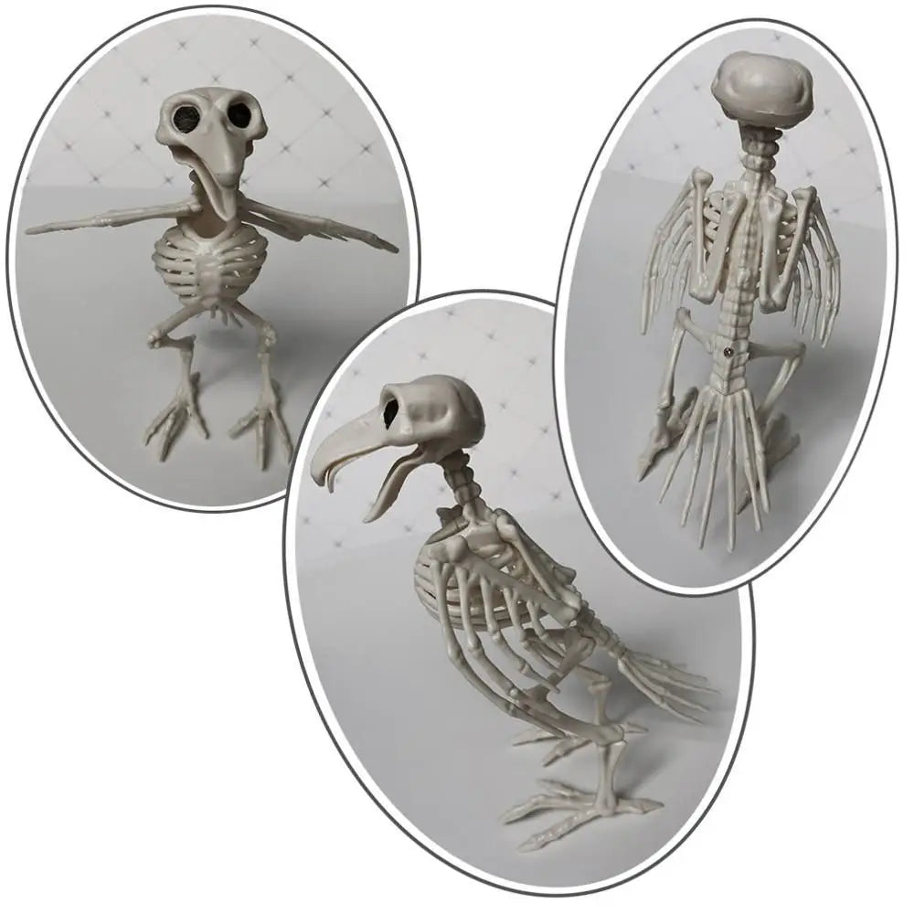 Crazy Bone Skeleton Raven Plastic Animal Skeleton Bones Horror Halloween Party Prop Decoration Bird Crow Skeleton Decoration
