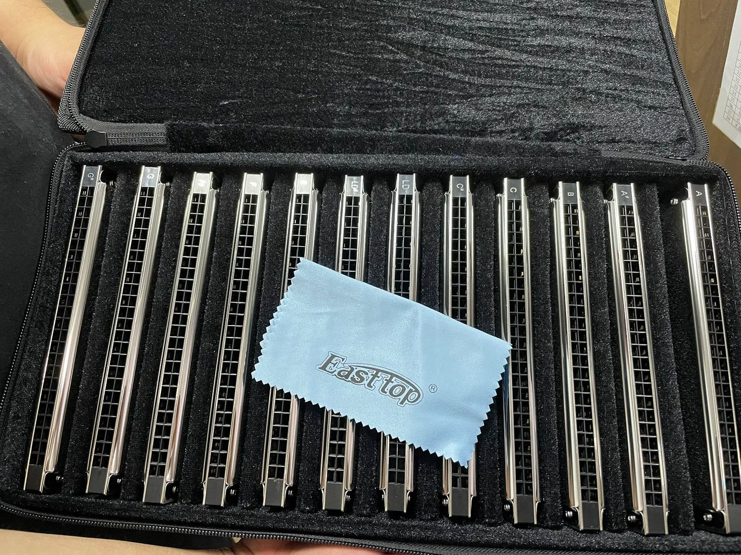 EASTTOP T2403-12 Set of 12 Harmonica Tremolo Harmonica