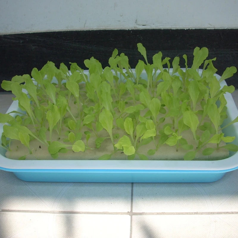 1pc 300mm by 200mm Nursery Sponge Gardening Hydroponics Sponge Vegetables Hydroponics Sponge for Garden Supplies