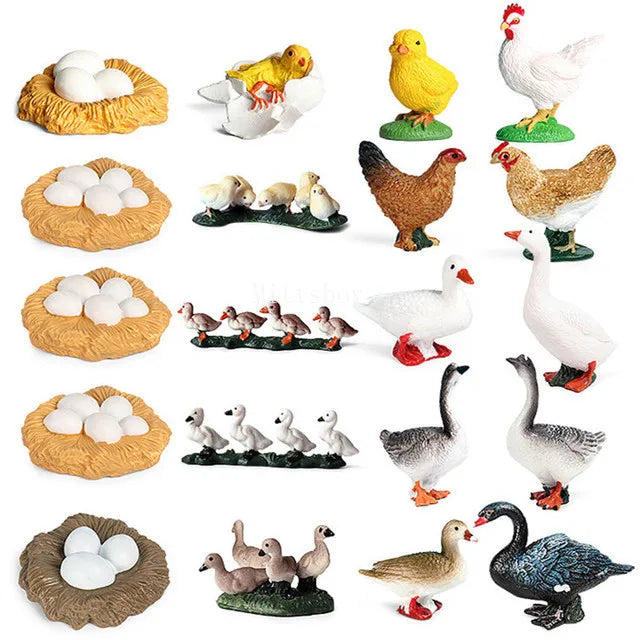 Baby Montessori Science Education Animals Insects Life Cycle Board Sets Lifestyles Stages Kids Tools Educational Open-Ended Toys