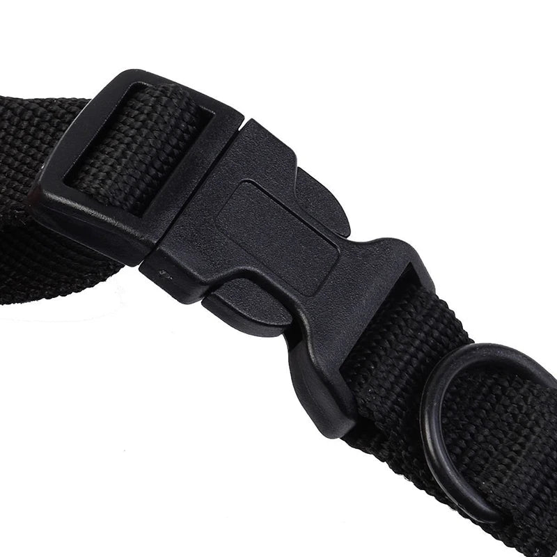 New 300M Remote Electronic Dog Training Collars With LCD Blue Screen Display Rechargeable 100 Levels Pet Electronic Dog Collars