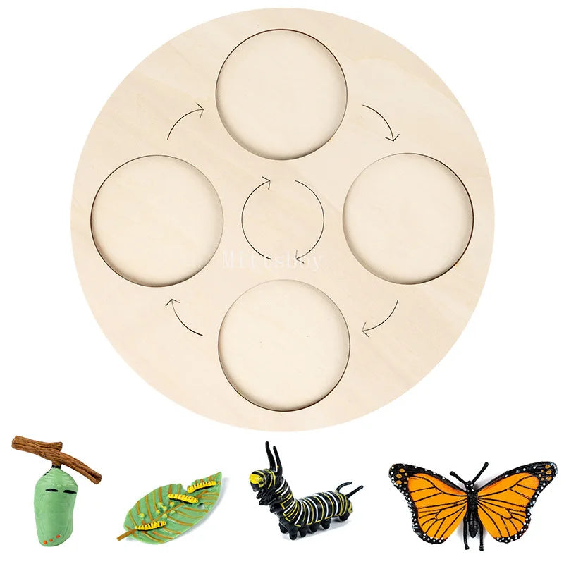 Baby Montessori Science Education Animals Insects Life Cycle Board Sets Lifestyles Stages Kids Tools Educational Open-Ended Toys