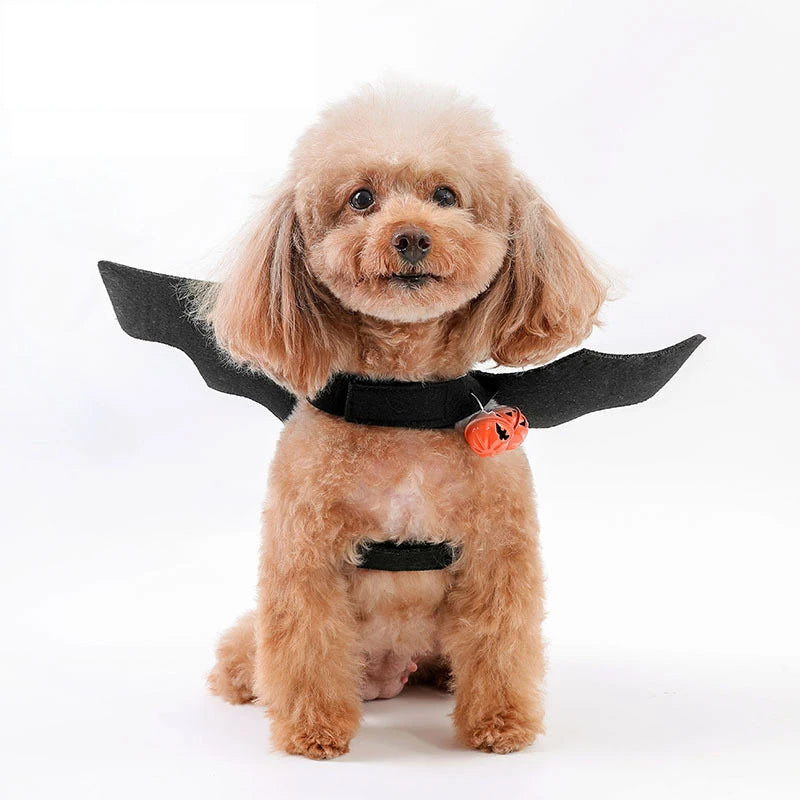 Halloween Cat Clothes Bat Wings Funny Dog Cosplay Costume With Pumpkin Bells 2023 New Dog Clothes Pet Supplies