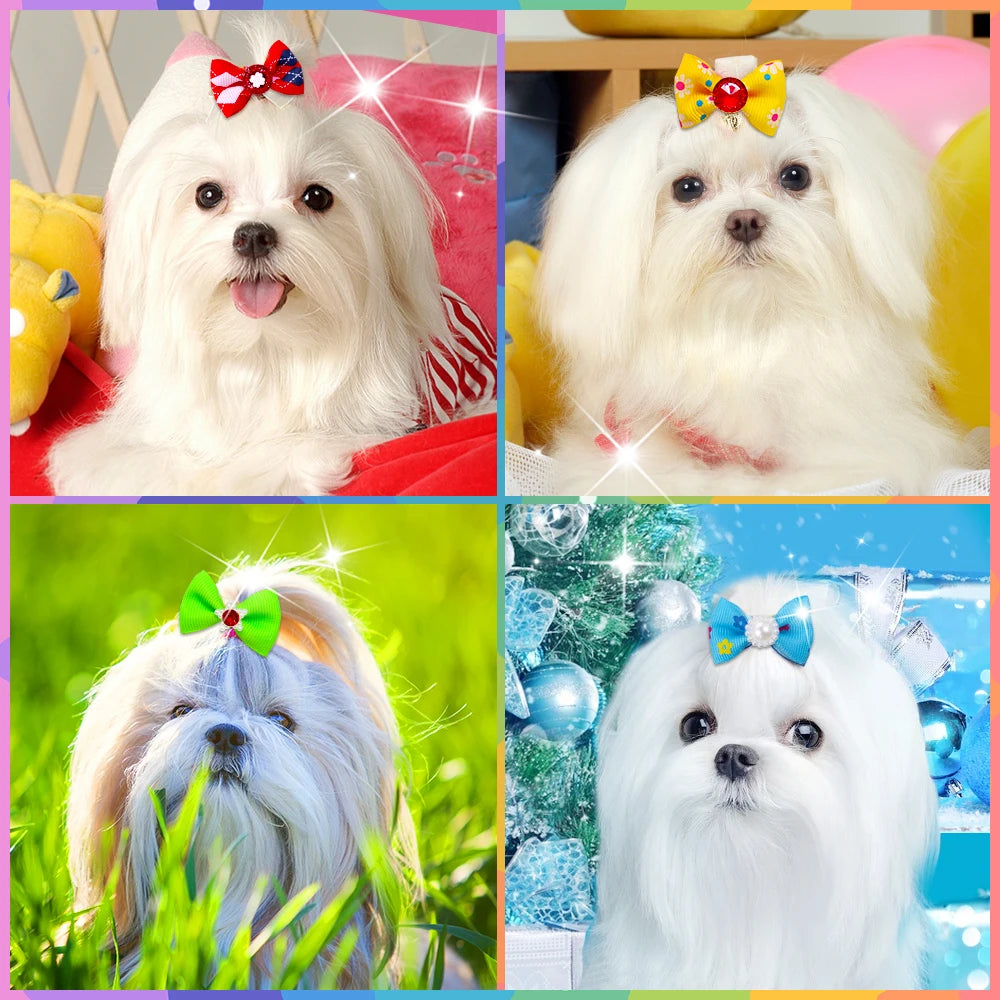 20PCS Pet Bows Dog Hair Bows for Puppy Yorkshirk Small Dogs Hair Accessories Grooming Bows Rubber Bands Dog Bows Pet Supplies
