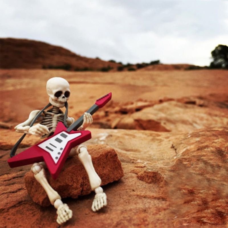 NEW Movable Mr.Skeleton Accessories Doll Human Model Skull Model Figure Toy Parts Halloween