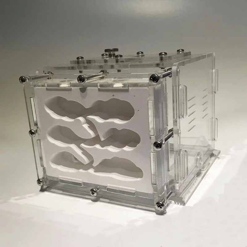 New DIY Gypsum Ant Farm Plaster Ant Nest With Feeding Area Moisturize Ecological Ant House Workshop for Pet Anthill