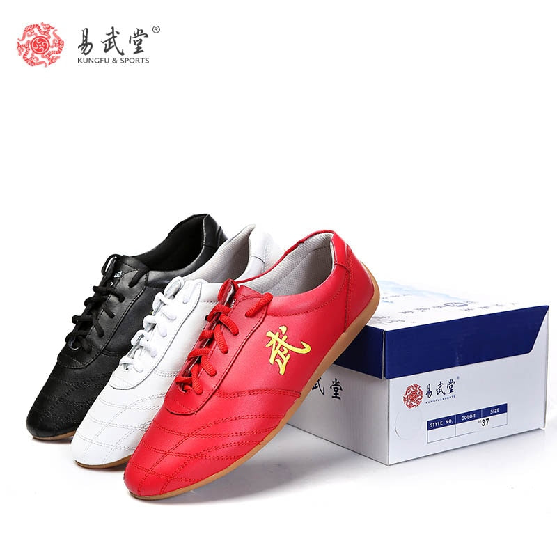Yiwutang Kids Kung Fu Shoes Chinese Martial Arts Wushu and Taichi Shoes for Men