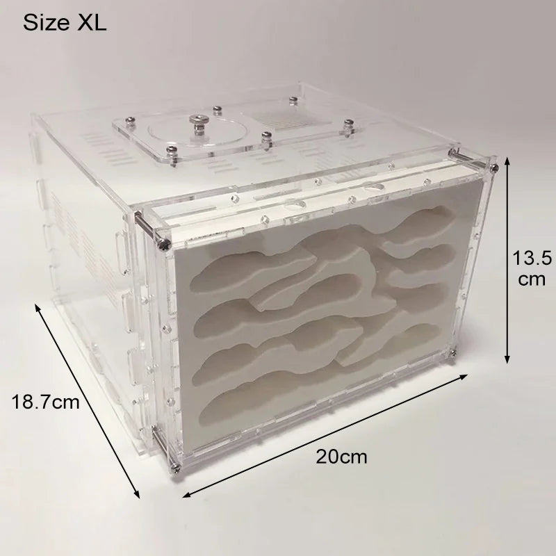 New DIY Gypsum Ant Farm Plaster Ant Nest With Feeding Area Moisturize Ecological Ant House Workshop for Pet Anthill