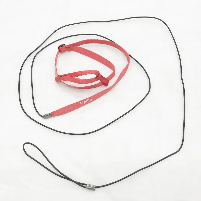 Bird Leashes Anti-Bite Flying Training Rope Parrot Kits Ultralight Harness Leash Soft Portable Pet Playthings