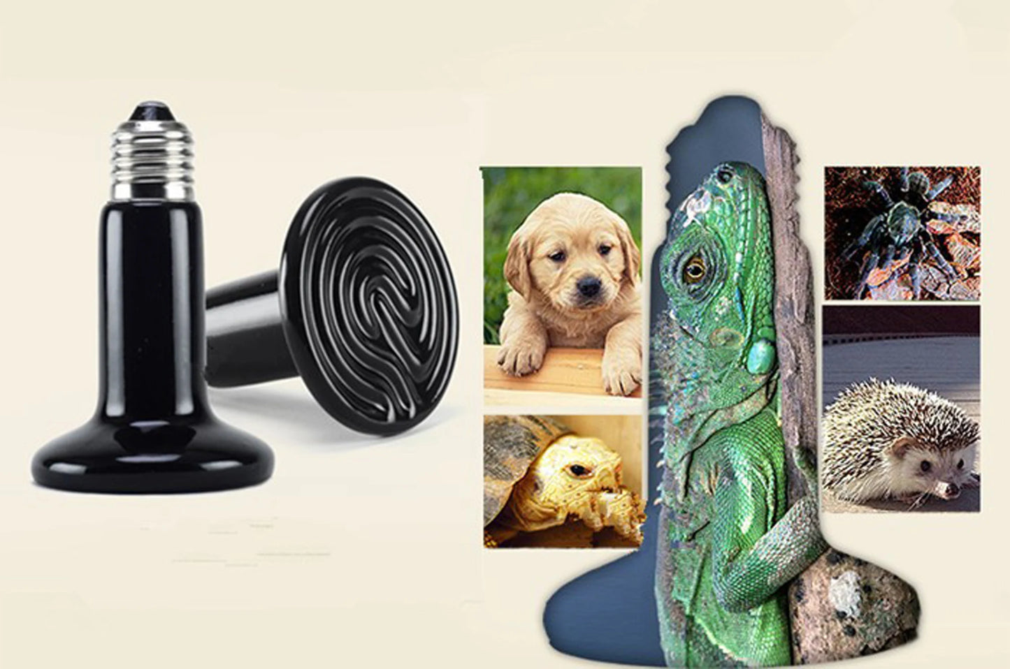 Pet Reptile Far Infrared Ceramic Heating Lamp 110v/220v Heat Emitter Light Bulb 25W 50W 75W 100W 150W 200W Animal Hatch Heating