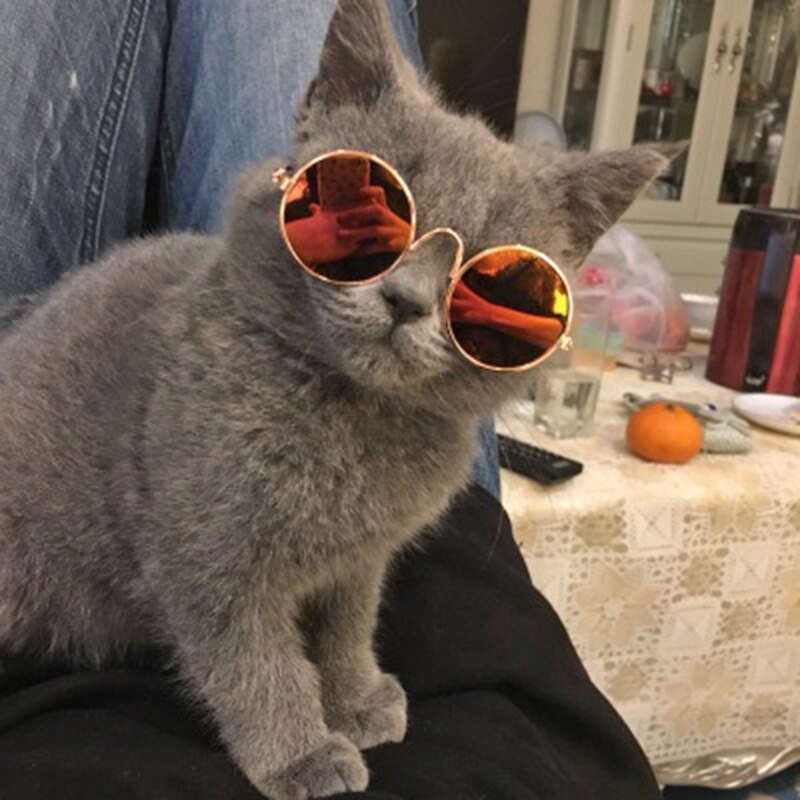 Doll Toy Cool Sunglasses for BJD Blyth American Grils Glasses Pet Toy Photo Prop Pet Glasses Toy Doll Sunglasses