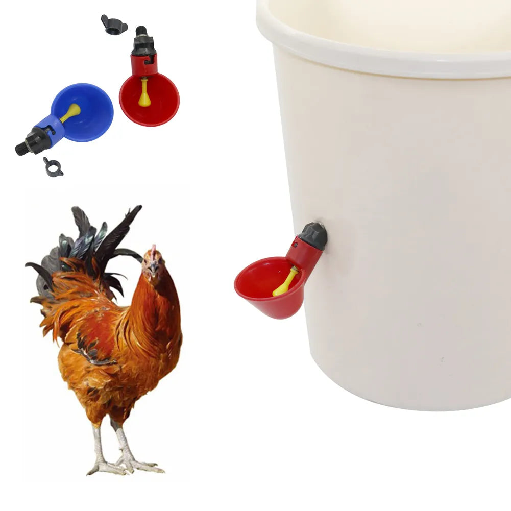 5 Pcs Poultry Water Drinking Cups Automatic Quail Chicken Drinking Plastic Chicken Fowl Drinker Cups Breeding Equipment
