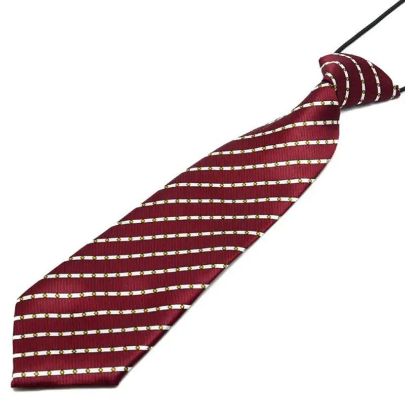 Pre-Tied Elastic Necktie Rainbow Stripes Leopard Apple Print Boys Kids Imitation Silk Ties Stage Performance Party Costume