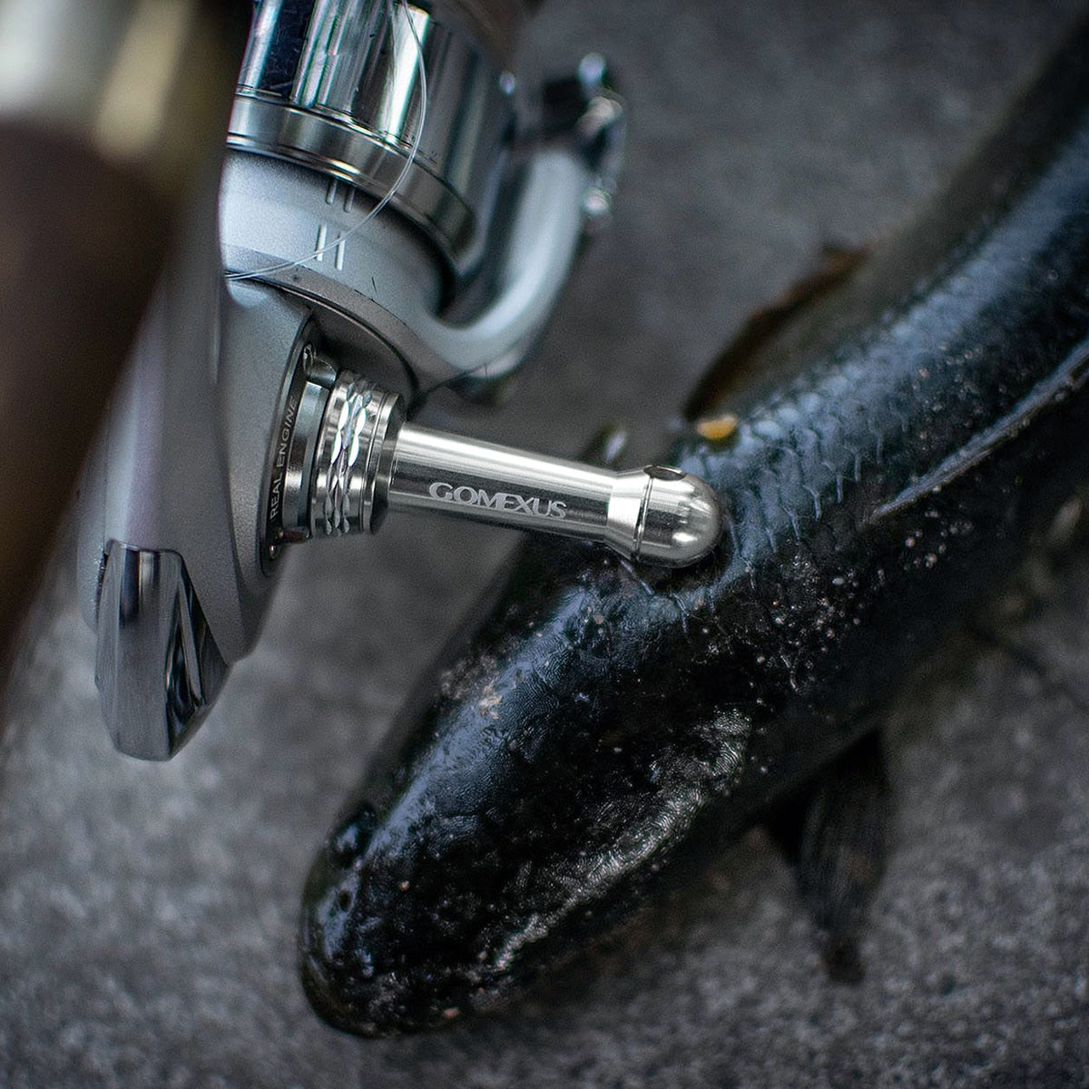 Gomexus Reel Stand R2 for Daiwa BG 1000 - 3000 Daiwa LT 1000 - 5000 Fuego 2021-2022 Spinning Protect Reels Fuego LT