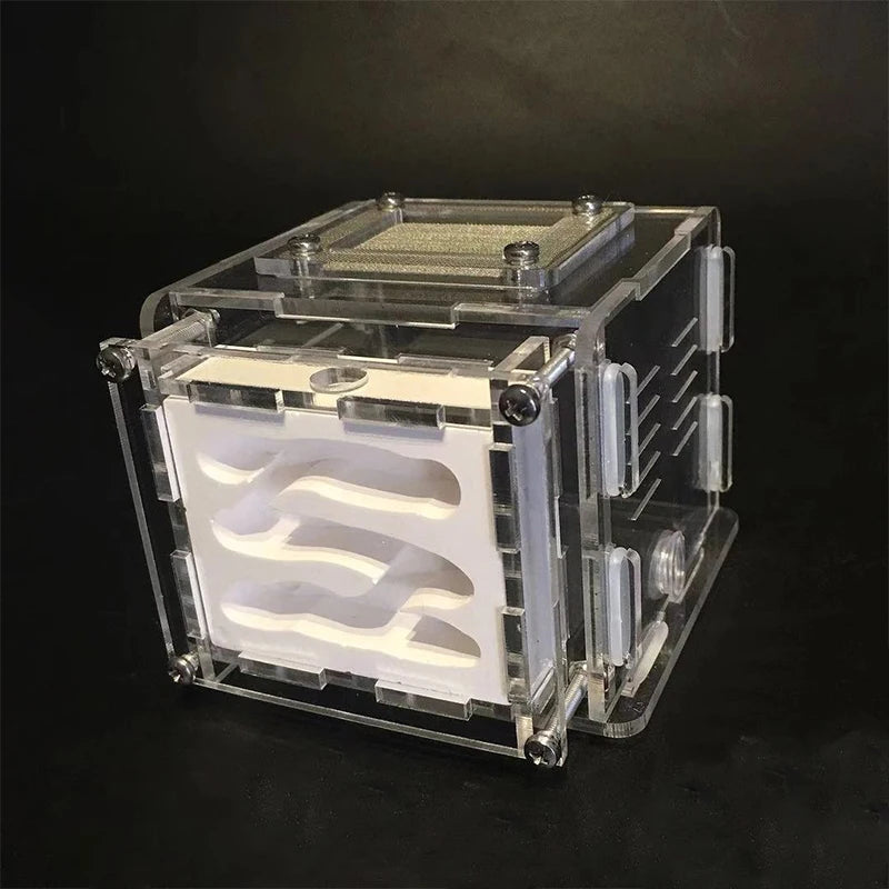 New DIY Gypsum Ant Farm Plaster Ant Nest With Feeding Area Moisturize Ecological Ant House Workshop for Pet Anthill