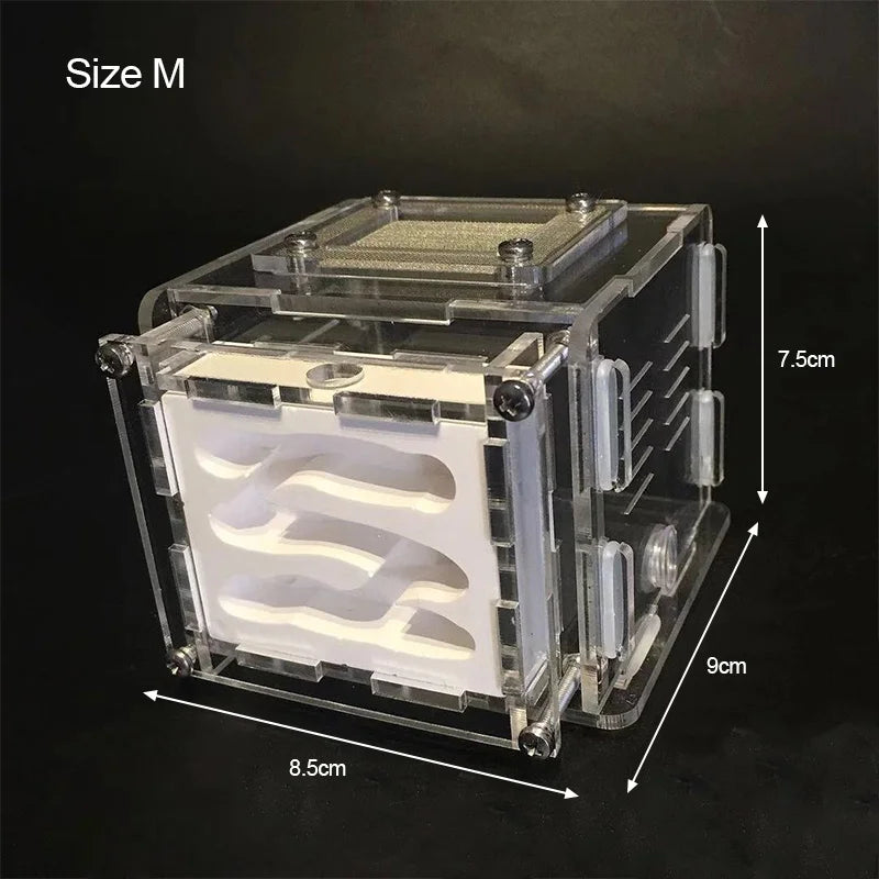 New DIY Gypsum Ant Farm Plaster Ant Nest With Feeding Area Moisturize Ecological Ant House Workshop for Pet Anthill