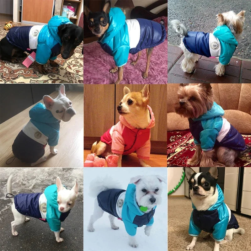 Autumn Winter Pet Clothes for Dogs Waterproof Hooded Dog Coat Jacket Warm Puppy Pet Clothing Chihuahua French Bulldog Clothes