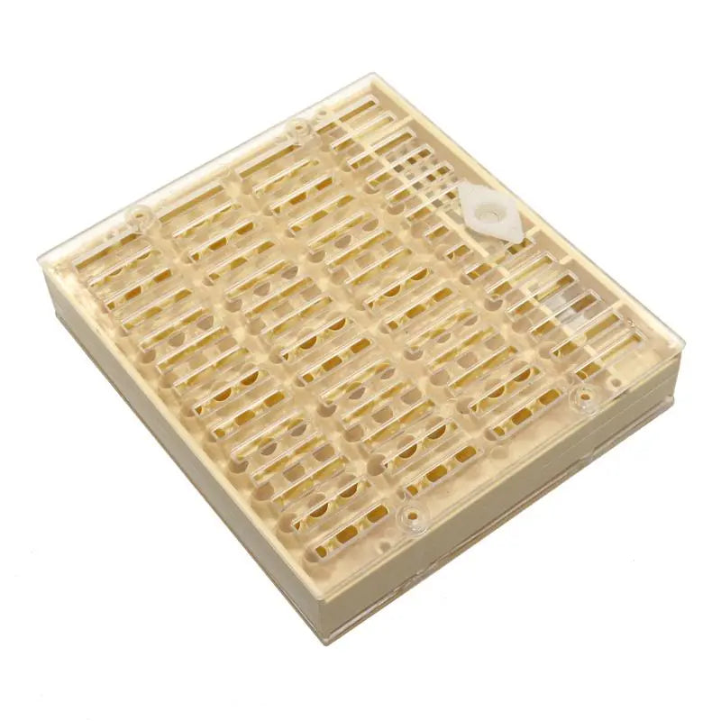 1 Pcs Beekeeping Equipment Tools Rearing Queen Bee System Plastic Box for Professional Beekeeper