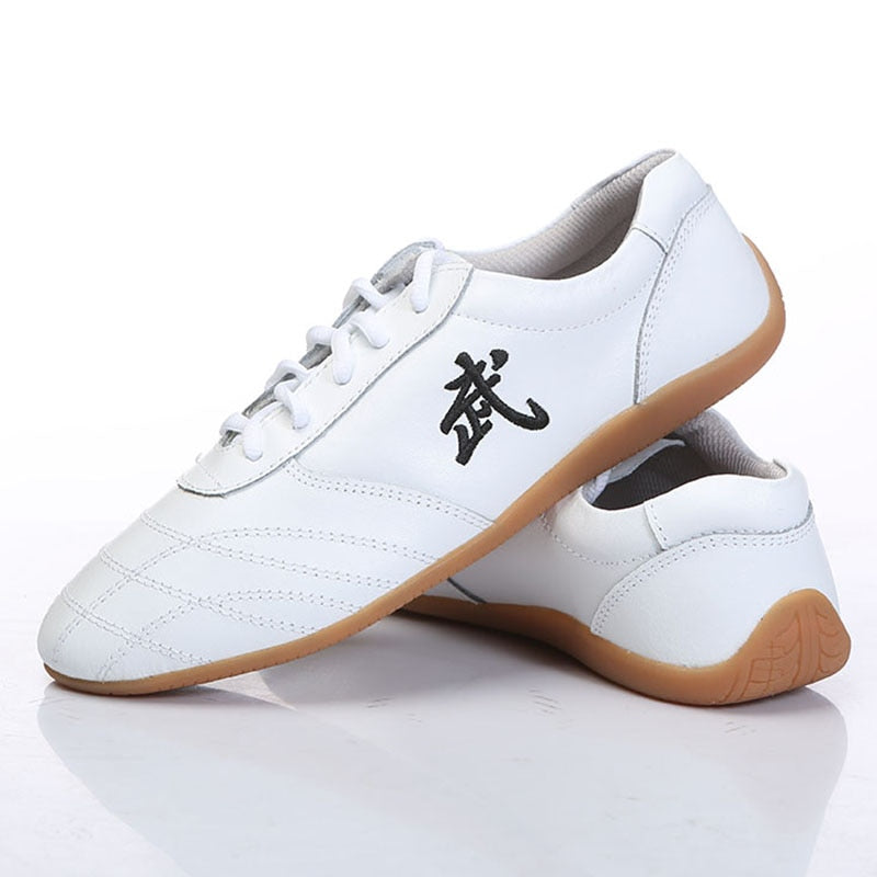 Yiwutang Kids Kung Fu Shoes Chinese Martial Arts Wushu and Taichi Shoes for Men