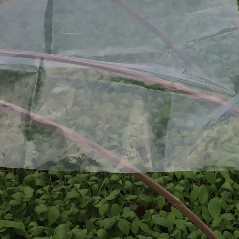 0.1mm 0.16mm Agriculture Greenhouse Transparent PE Film Garden Furniture Rainproof Dustproof Succulent Plants Waterproof Cover