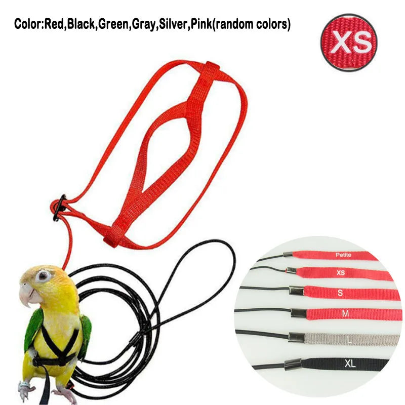 Bird Harness Leash Anti-Bite Training Rope Outdoor Flying Harness Leash