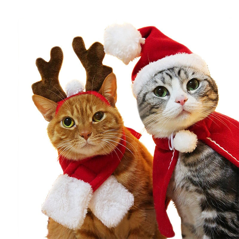 Christmas Hat Halloween Pet Costume for Cat Dog Puppy Costumes Scarf New Year Santa Winter Cosplay Halloween Dog Cat Supply