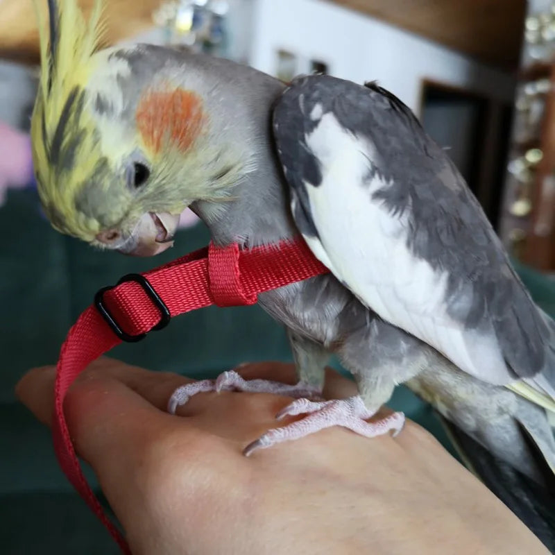 Bird Harness Leash Anti-Bite Training Rope Outdoor Flying Harness Leash