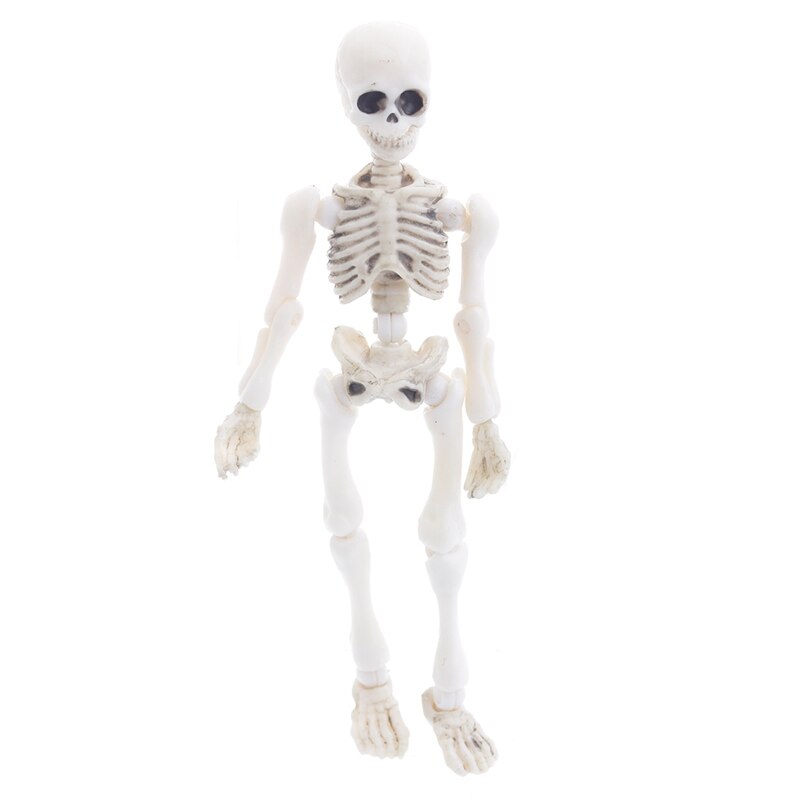 NEW Movable Mr.Skeleton Accessories Doll Human Model Skull Model Figure Toy Parts Halloween