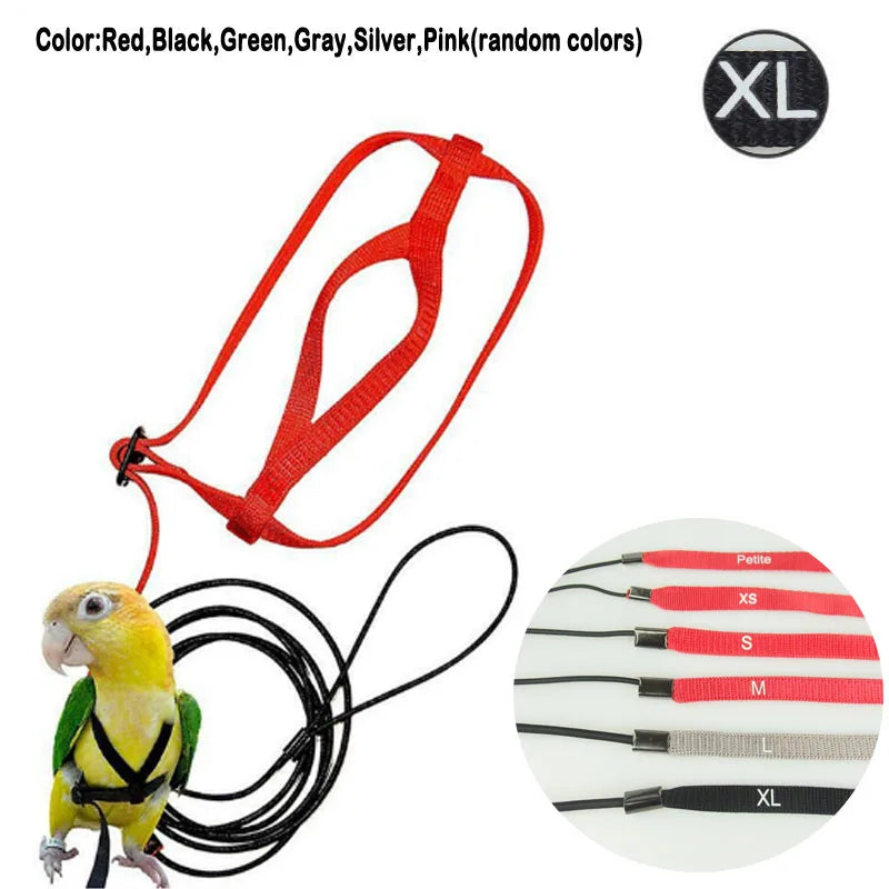 Bird Harness Leash Anti-Bite Training Rope Outdoor Flying Harness Leash