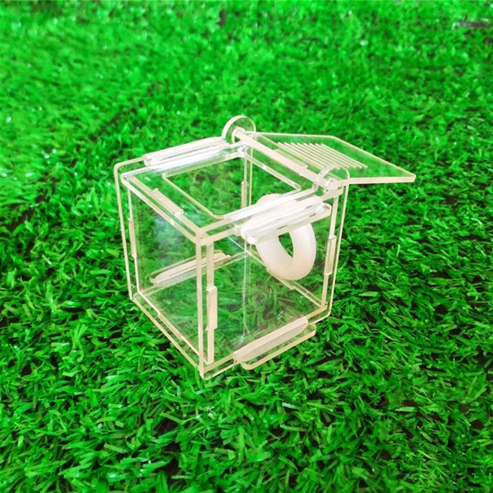 DIY Ecological Ant Farm Bamboo Test Tube Ant Nest Various Sizes Tubes Ant House for Pet Anthill Workshop Queen Ant Home