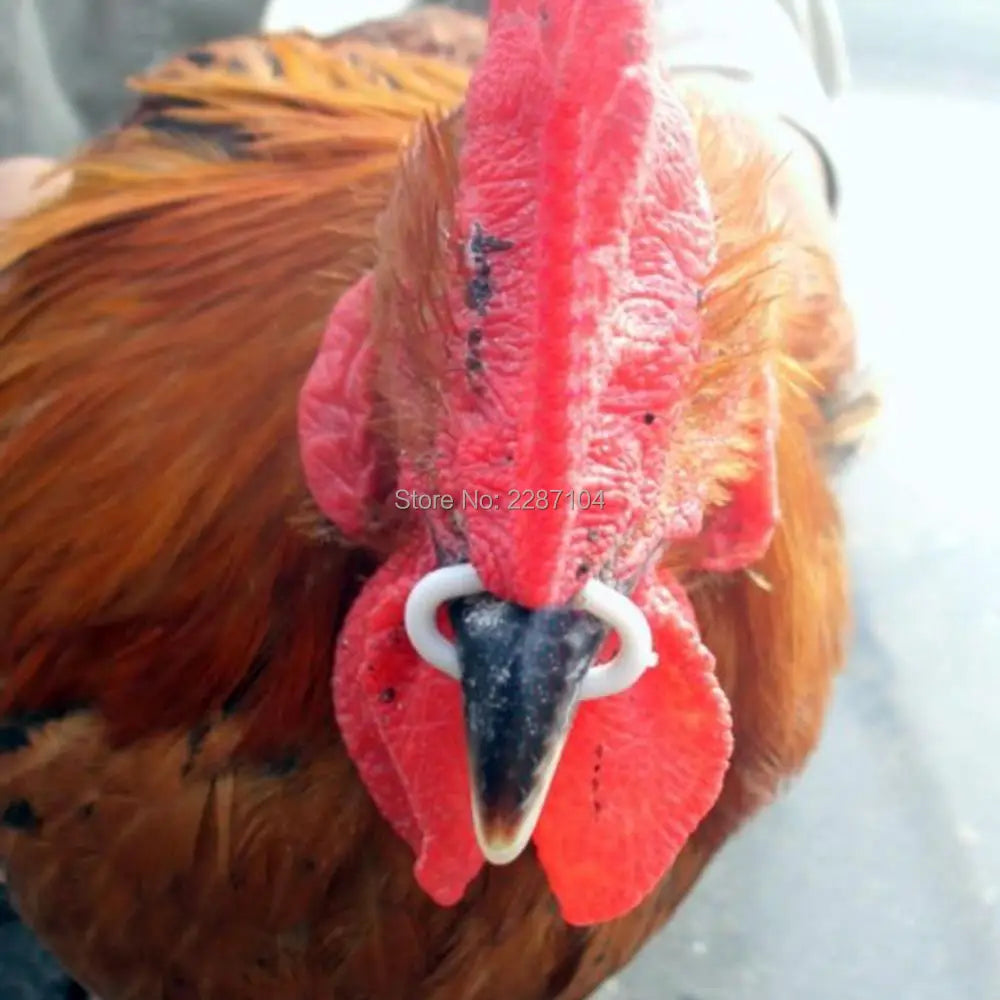 50pcs S M L Size Chicken Beak Clasp Cock Fasan Mouth Snap Ring Replace Peepers Eye Glasses Blinders Spectacles Anti-Pecking Feed