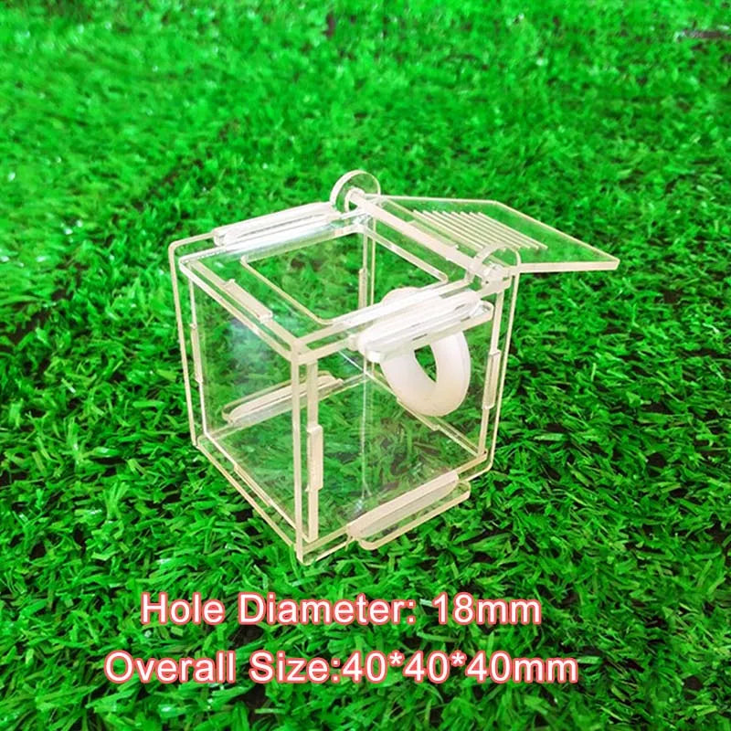 DIY Ecological Ant Farm Bamboo Test Tube Ant Nest Various Sizes Tubes Ant House for Pet Anthill Workshop Queen Ant Home