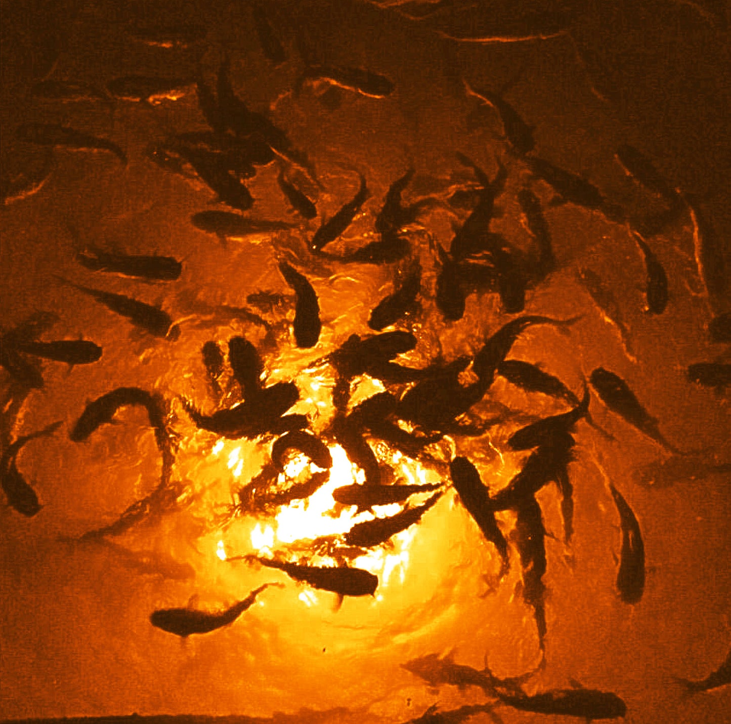 Mega-Watt Underwater LED Lighting System